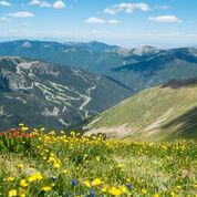 Pic #15 download - Copy