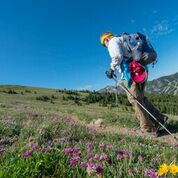 pic #3 download - Copy