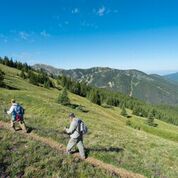 pic #4 download - Copy