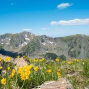 pic #8 download - Copy